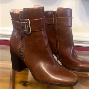 The Limited Brown Ankle Boots with Chunky Heel